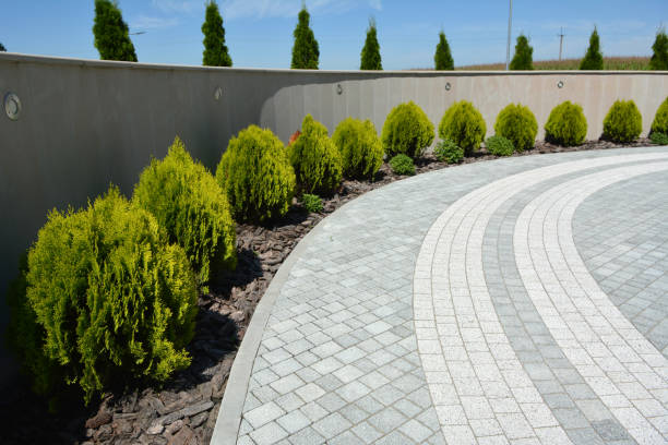 Best Driveway Pavers Near Me  in Homestead Valley, CA