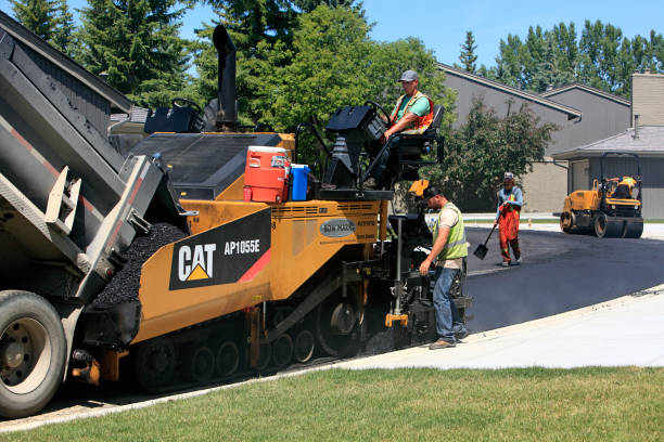 Best Decorative Driveway Pavers  in Homestead Valley, CA